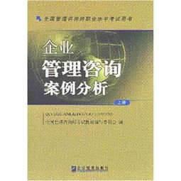 全國管理咨詢師職業水平考試用書 企業管理咨詢案例分析 上下