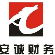 合肥財友財務管理咨詢公司